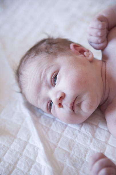 nine days age newborn - Zdjęcie, obraz