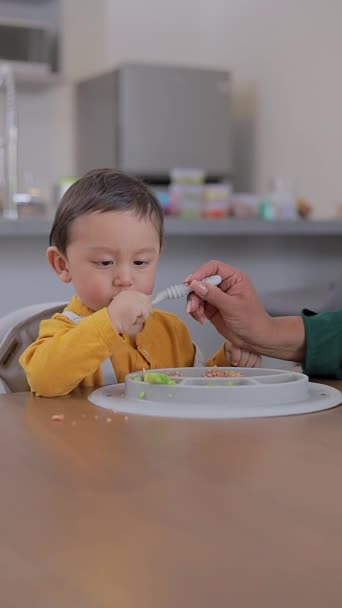 Doplňkové krmení dítěte, které začíná dostávat své první jídlo. dítě vedl odstavení koncept - Záběry, video