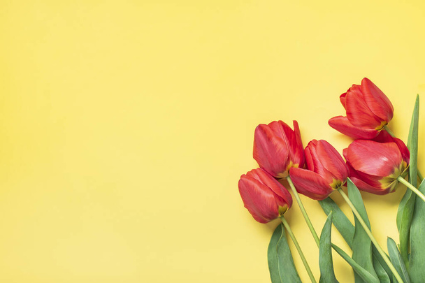 Csokor piros tulipán sárga háttér Felső nézet Lapos feküdt Ünnepi üdvözlőlap Boldog motorok napja, Március 8, Valentin-nap, Húsvéti koncepció Másolás tér Mock up. - Fotó, kép