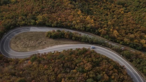 auto voertuig rijden op bergketen natuur luchtfoto in de herfst dag - Video