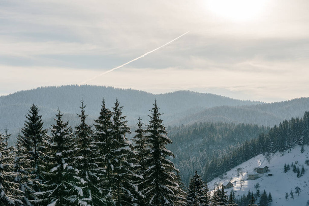 Landschaft des schneebedeckten Berges Zlatar - Foto, Bild