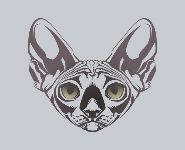 Sphinx cat. Close-up portrait - Вектор, зображення