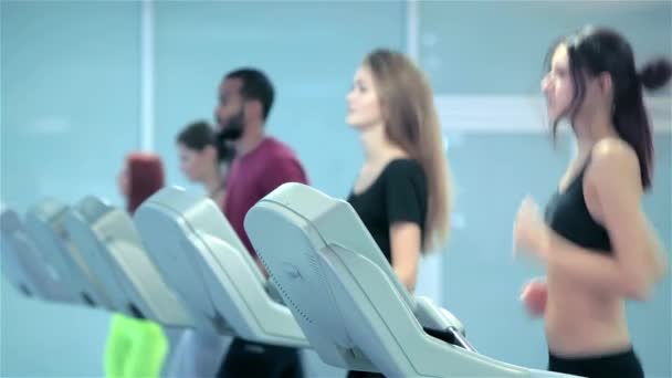 Setting up the program of sports. Sport and slender girl running on a treadmill and configures the simulator. Athlete dressed in sports uniforms and running in the gym - Footage, Video