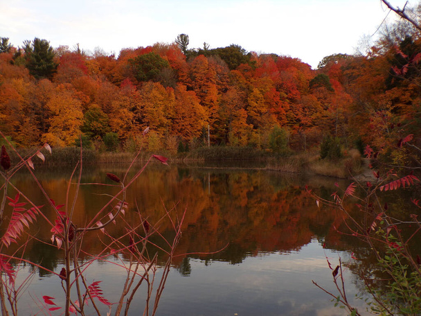 Herbstlandschaft mit bunten Bäumen und See - Foto, Bild
