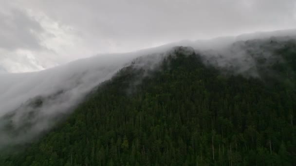 Vue aérienne du faible brouillard roulant sur le sommet d'une montagne boisée à Hokkaido, au Japon. Images 4k de haute qualité - Séquence, vidéo