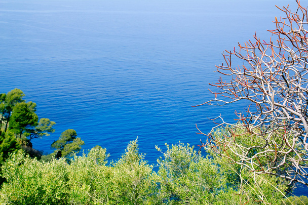 Mediterranean sea high view from Mallorca Deia - Φωτογραφία, εικόνα