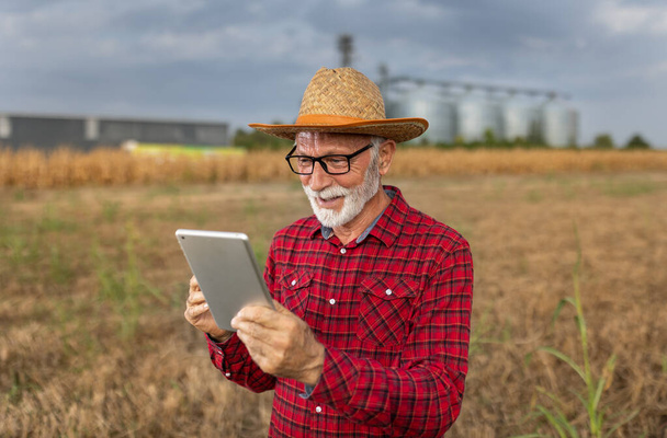 Opgewonden man boer kijkt naar tablet en vieren succes in het veld in de voorkant van graan silo 's tijdens de oogst tijd - Foto, afbeelding