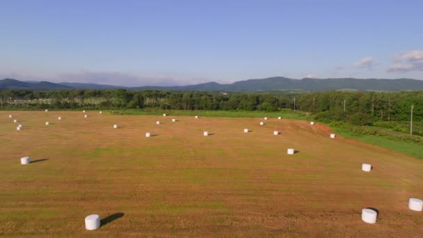 Mova-se lentamente sobre fardos de feno recém-colhidos na fazenda à luz da manhã em Hokkaido, Japão. Imagens 4k de alta qualidade - Filmagem, Vídeo