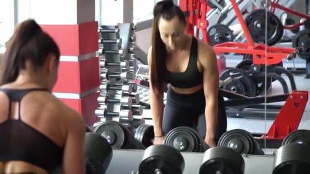 Prachtige sportieve vrouw training biceps spieren met halter. Krachttraining in de sportschool. - Video