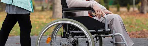Lady on wheelchair in park - Foto, imagen
