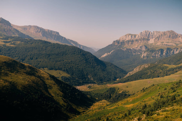 juhok nyája a Pireneusok Nemzeti Park rétjein, Pireneusok Atlantiques, Franciaország. Kiváló minőségű fénykép - Fotó, kép