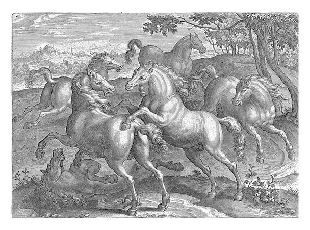 Six Fighting Horses, Adriaen Collaert (attributed to), after Jan van der Straet, c. 1578 - c. 1582 Six Horses. One of the horses is lying on the ground. - Photo, Image