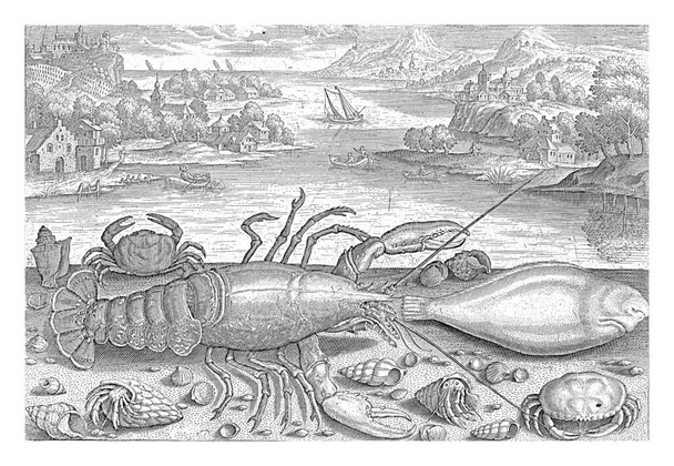 A fish and some crustaceans on the beach, Adriaen Collaert, 1627 - 1636 A sole, a lobster, two crabs and two hermit crabs are washed up on the beach along with some shells. - Photo, Image