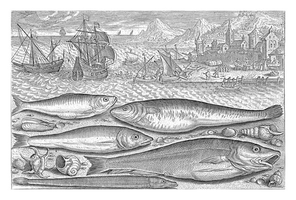Five fish on the beach, Adriaen Collaert, 1627 - 1636 A sprat, a carp, a mullet, a small cod and a conger eel are washed up on the beach along with some shells. - Photo, Image