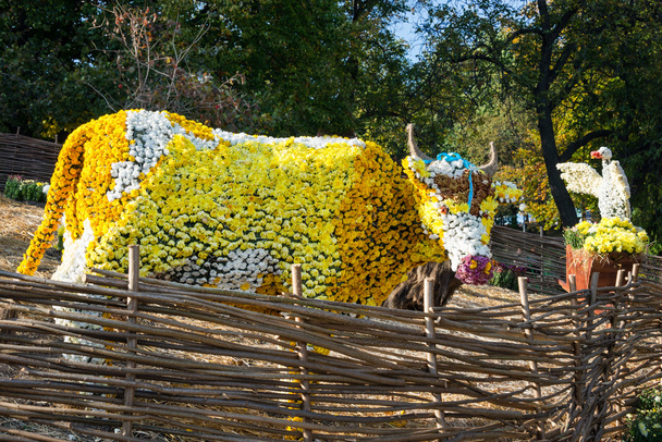 Cama de flores en forma de vaca con crisantemos de colores. Parkland en Kiev, Ucrania
. - Foto, imagen