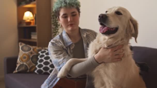 Medium slowmo portret van gelukkig Kaukasische tiener meisje met krullend kort blauw haar aaien haar witte labrador hond zitten op de bank in lichte kamer overdag - Video