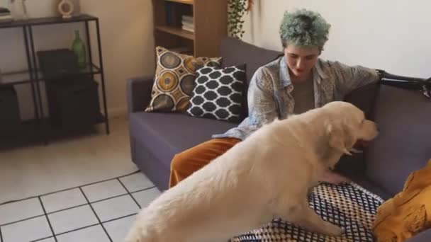 Plan moyen d'une adolescente caucasienne aux cheveux bleus courts bouclés et au bras artificiel jouant avec un récupérateur de labrador joyeux sur un canapé dans un appartement confortable - Séquence, vidéo