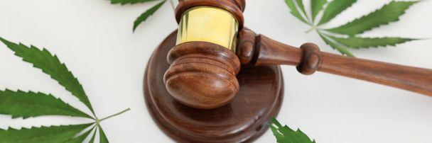 Drewniany młotek sędziego i blok dźwiękowy otoczony liśćmi marihuany na stole. Nielegalny rozwój psychoaktywnych roślin konopi indyjskich i rozprzestrzenianie się narkotyków - Zdjęcie, obraz