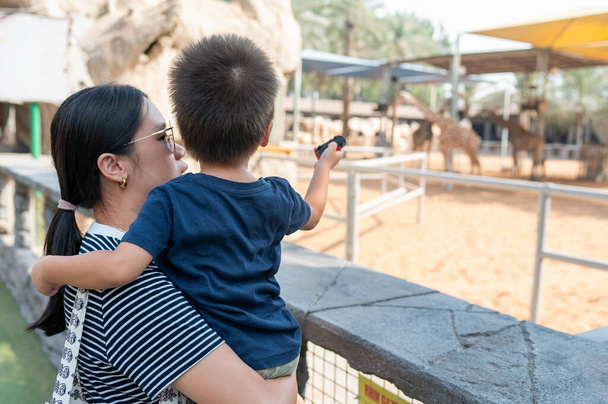 Dwuletni chłopiec i jego matka oglądają żyrafy w ogrodzie zoologicznym. Stoją obok klatki ze zwierzętami, matka trzyma chłopca w ramionach i cieszą się razem na rodzinnych weekendowych wakacjach w towarzystwie zwierząt - Zdjęcie, obraz