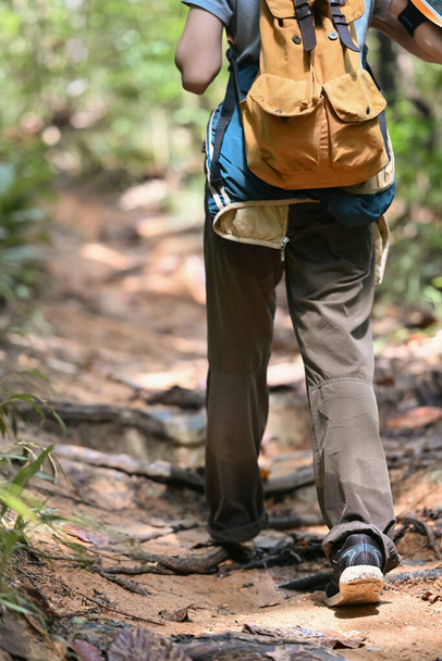 Wanderin mit Rucksack, die den Wald erkundet. Reise, Abenteuer und aktives Leben. - Foto, Bild