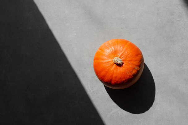 Draufsicht auf isolierten Kürbis auf grauem Hintergrund. Herbstliches Ernährungskonzept, Herbsthintergrund, Kopierraum - Foto, Bild