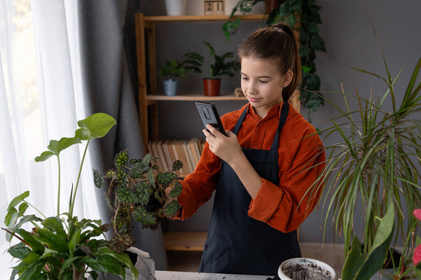 Child using mobile phone, smartphone taking photo of pot, houseplant with dirt soil on table at home, gardening tree plant in garden farm. Copy space - Photo, Image