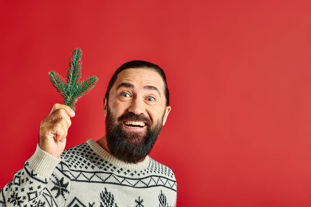 vidám szakállas férfi téli pulóverben gazdaság ág fenyőfa piros háttér, Boldog karácsonyt - Fotó, kép