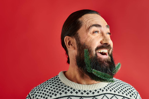 excited man in Christmas sweater posing with branches of fresh spruce in beard on red backdrop - Photo, Image
