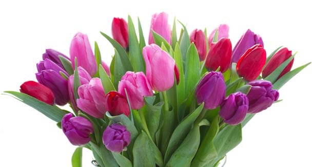 bouquet of  red and purple  tulip flowers - Fotoğraf, Görsel