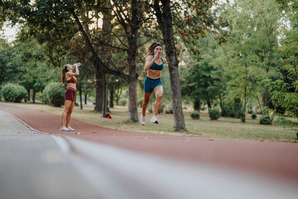 Děvčata cvičí venku v parku, předvádějí svá atletická těla. Jogging, běh a trénink s ohledem na cíle, najdou motivaci v zeleném prostředí a přijmou zdravý životní styl. - Fotografie, Obrázek