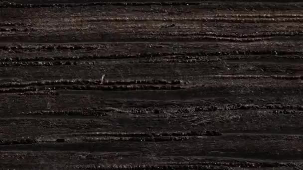Platten verschiedener Holzarten im Zeitraffer. Holzstruktur von Holzarten - Filmmaterial, Video