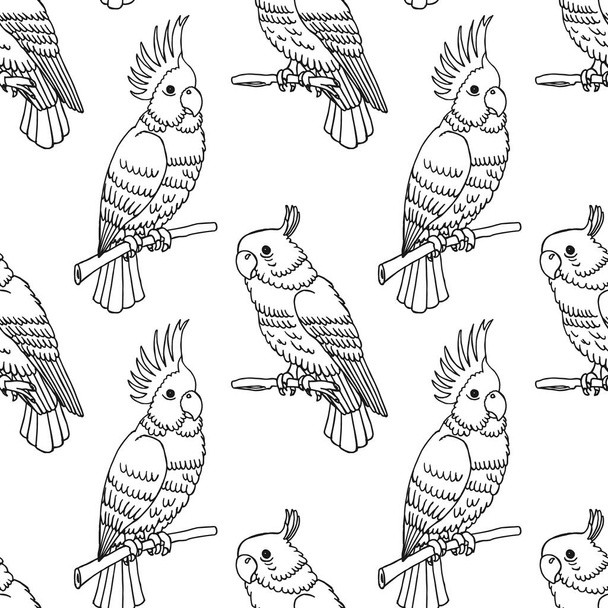Saumaton kuvio, käsin piirretyt trooppiset linnut papukaijat. Musta ja valkoinen jälki, tausta. Piirustus, luonnos. Vektori - Vektori, kuva