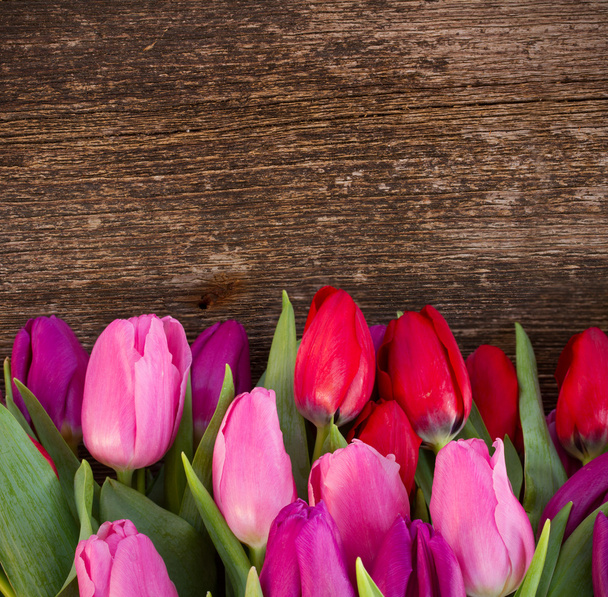 bouquet of  red and purple  tulip flowers - Fotografie, Obrázek