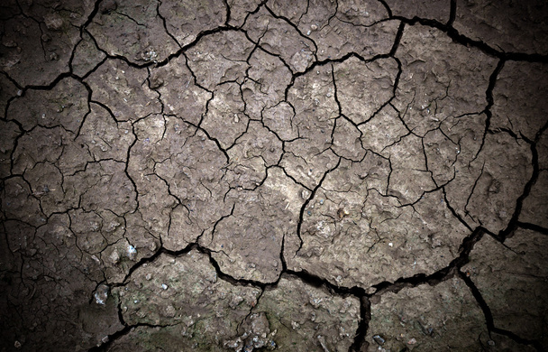 Cracked soil - Photo, Image