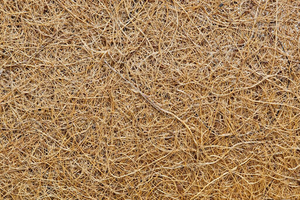 Кокосовое волокно сплошное фоновое изображение. Материал используется для многих целей, включая садоводство и производство ковриков, щеток и матрасов. - Фото, изображение