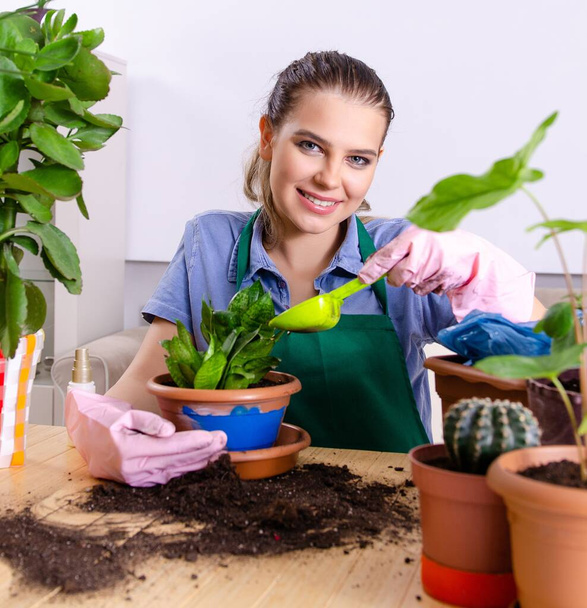 Młoda kobieta ogrodnik z roślin w pomieszczeniach - Zdjęcie, obraz