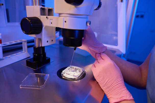 Viljelty kuva tutkija imee soluja neljän hyvin levy mikroskoopilla mikropipetillä - Valokuva, kuva