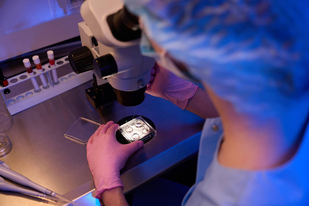 Visão traseira do cientista aspirando amostras biológicas de placas de vários poços sob microscópio - Foto, Imagem