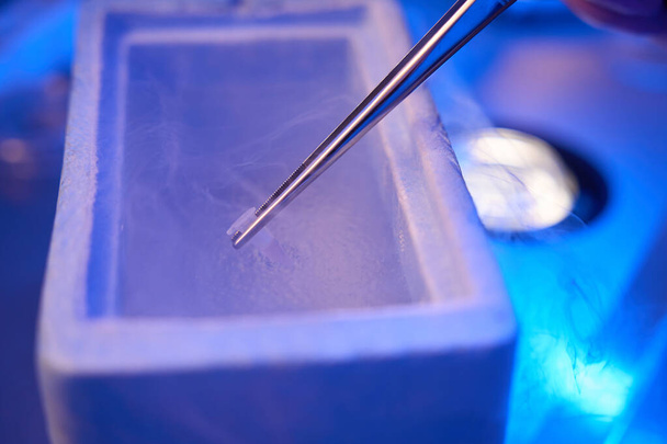 Nahaufnahme eines Wissenschaftlers, der kryogenes Rohr mit Zellproben in Gefriertruhe mit flüssigem Stickstoff taucht - Foto, Bild