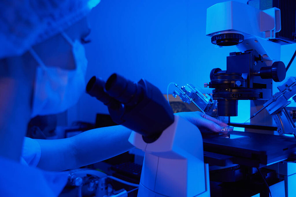 Steril eldiven giymiş kadın bilim adamı, iki pipet tutacağı arasında bulunan petri kabını mikroskop sahnesine koyuyor. - Fotoğraf, Görsel