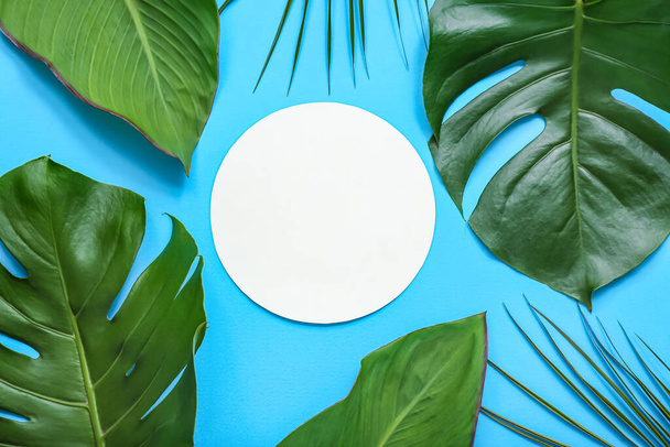 Blank card with different tropical leaves on blue background - Photo, Image