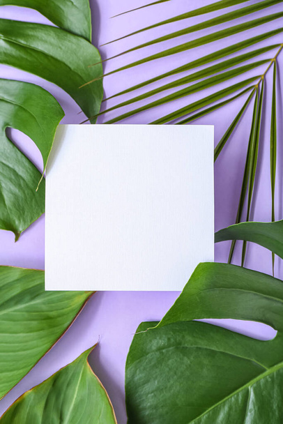 Carte blanche avec différentes feuilles tropicales sur fond lilas - Photo, image