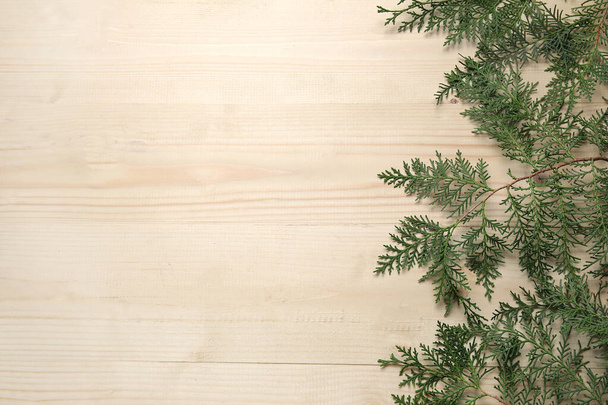 rami di Natale su sfondo di legno chiaro - Foto, immagini