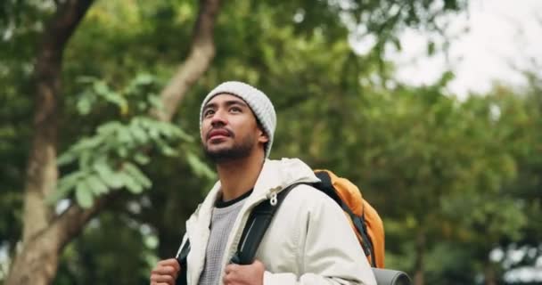 Wandelen, man en rugzak voor reizen, reizen en avontuur op vakantie buiten. Camping, ontspannen mannelijke persoon en uitzicht op vakantie met wandelen en wandelen in de natuur en bossen met vrijheid in het bos. - Video