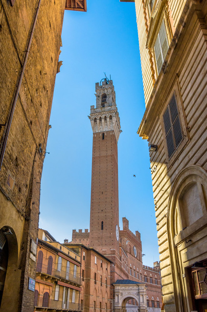 Piazza Campo square and Mangia Tower, Siena, Italy - Photo, Image