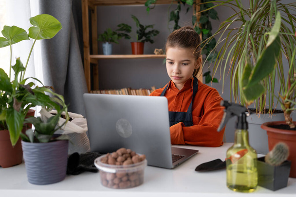 Дівчинка-підліток, яка пересаджує квіти вдома, використовує ноутбук і дивиться онлайн-навчання по догляду за кімнатними рослинами. Копіювати простір - Фото, зображення