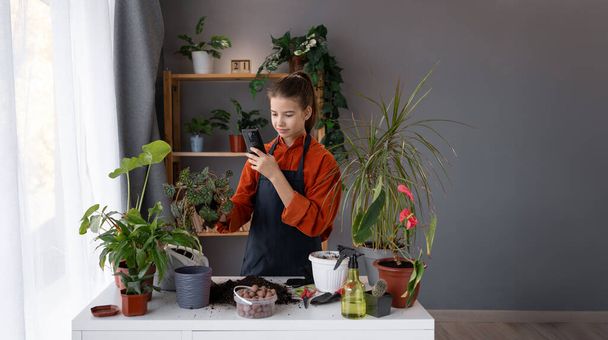 Dziecko korzystające z telefonu komórkowego, smartfon robiący zdjęcia trawki, roślina domowa z brudną glebą na stole w domu, roślina sadownicza w ogrodzie. Sztandar. Przestrzeń kopiowania - Zdjęcie, obraz