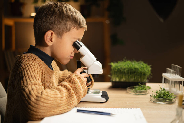 小学生が夕方にデスクで顕微鏡を眺めている. 若い科学者が自宅の実験室で実験を行っている. 子供と科学の概念について. コピースペース - 写真・画像