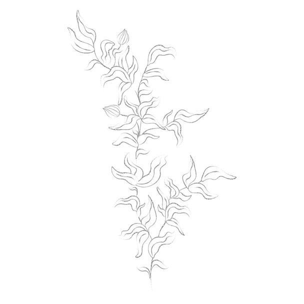 rama con hojas dibujado a mano línea dibujo vector. Ilustración vectorial - Vector, imagen