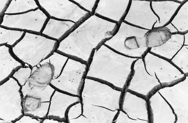 Boot prints in cracked earth - Photo, Image